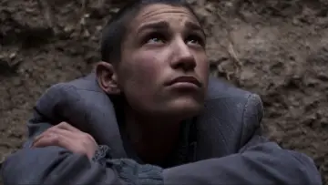 Zasłona do filmu "Tavşan İmparatorluğu" #773832