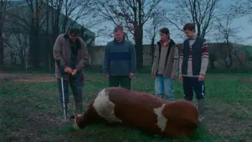 Zasłona do filmu "Bądź wola moja" #1631694