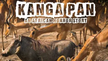 Zasłona do filmu "Disparitions autour du Kanga Pan" #1157656