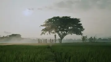 Zasłona do filmu "Bolong, 309 Hari Sebelum Tragedi Berdarah" #536791