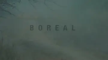 Zasłona do filmu "Boreal" #792174