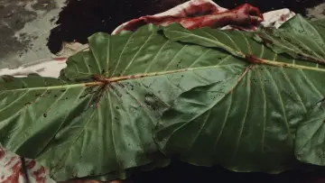 Zasłona do filmu "La Muerte no Tiene Dueño" #1880722