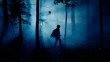 Zasłona do filmu "The Wildman of Shaggy Creek" #630950
