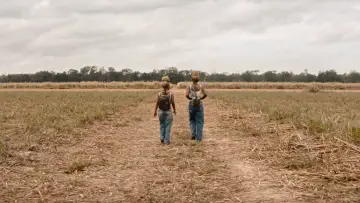 Zasłona do filmu "Wola Boska" #1797295