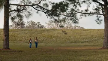 Zasłona do filmu "Wola Boska" #1797297