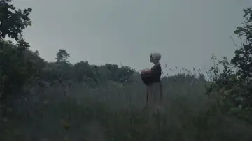 Zasłona do filmu "MARTER" #1686894