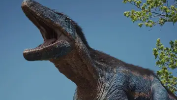 Zasłona do filmu "L