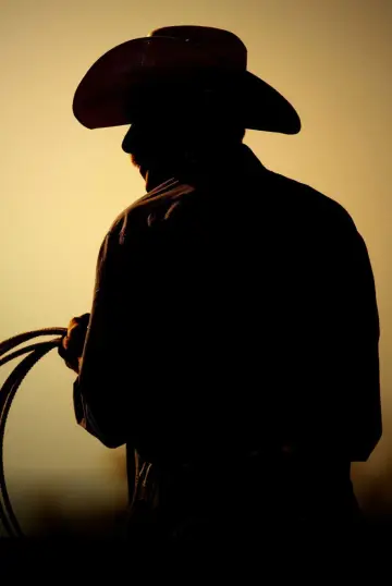 Plakat do filmu "Ostatnie rodeo" #592132