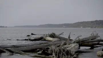 Zasłona do filmu "Smallpox Island" #965246