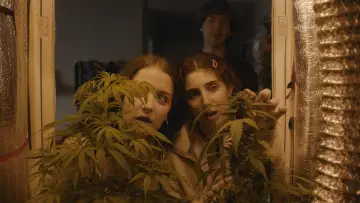 Zasłona do filmu "Verano Trippin" #698066
