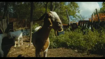 Zasłona do filmu "Suprema" #1162300