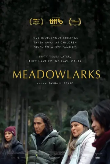Plakat do filmu "Meadowlarks" #623416