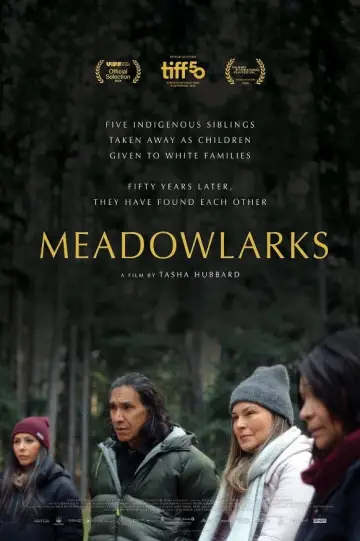 Plakat do filmu "Meadowlarks" #623420