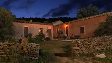 Zasłona do filmu "Takie jest życie" #1625895
