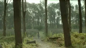 Zasłona do filmu "L