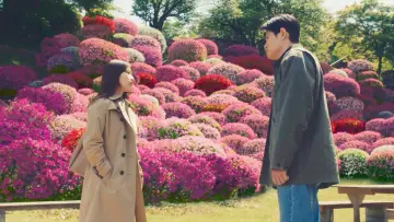 Zasłona do filmu "花まんま" #805992