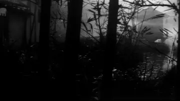 Zasłona do filmu "怪猫　呪いの沼" #1623275