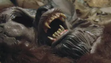 Zasłona do filmu "Dogman" #1081540