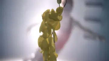 Zasłona do filmu "Upstream Color" #1093275