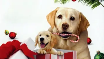 The Dog Who Saved the Holidays