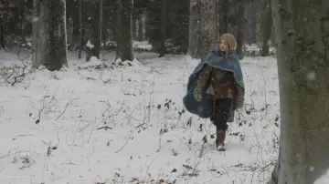 Zasłona do filmu "Gdzie jest Gwiazdka?" #448378
