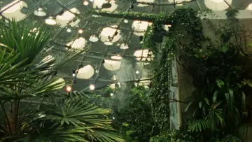 Zasłona do filmu "Fractais Tropicais" #822398