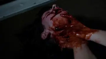 Zasłona do filmu "Fatal Frame" #824749