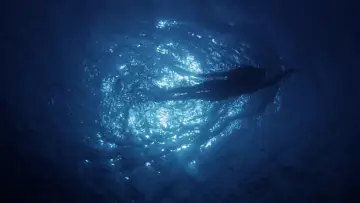 Zasłona do filmu "Les dents de la mer, un succès monstre" #920275