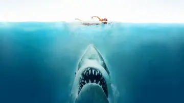 Zasłona do filmu "Les dents de la mer, un succès monstre" #920276