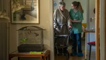 Zasłona do filmu "Hjem kære hjem" #660222