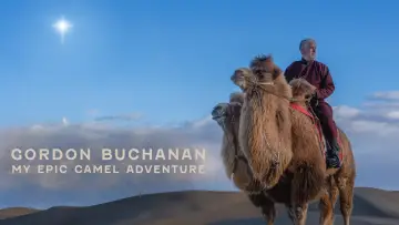 Zasłona do filmu "My Epic Camel Adventure With Gordon Buchanan" #982004