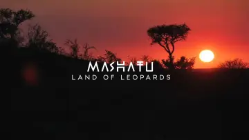 Zasłona do filmu "Mashatu: Land of Leopards" #1629371