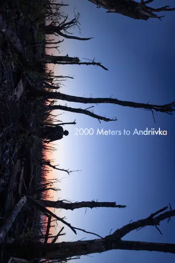 Plakat do filmu "2000 metrów do Andrijiwki" #539445