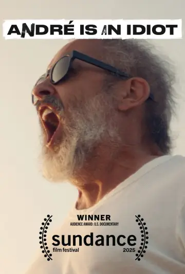 Plakat do filmu "André Is an Idiot" #538358