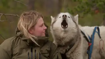 Zasłona do filmu "Opowieści z dalekiej północy" #536100