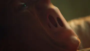 Zasłona do filmu "Clayface" #842187