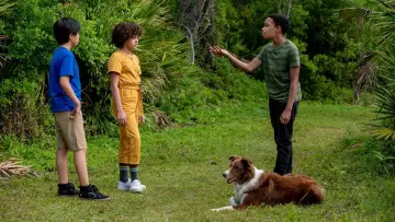 Zasłona do filmu "Pet Investigators" #716644