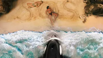 Zasłona do filmu "Killer Whale" #509943