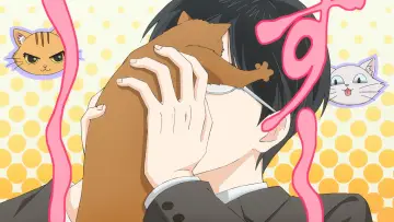 Zasłona do filmu "猫になりたい田万川くん" #1640164
