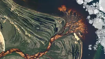 Zasłona do filmu "2024: The Year From Space" #656120