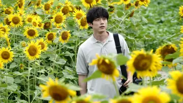 Zasłona do filmu "盤上の向日葵" #818123