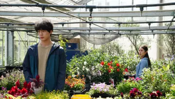 Zasłona do filmu "盤上の向日葵" #818124