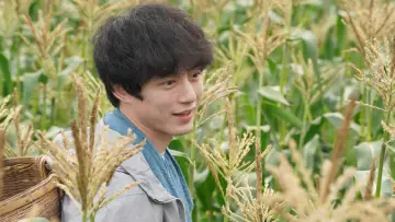 Zasłona do filmu "盤上の向日葵" #818125