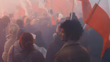 Zasłona do filmu "Listy z Wilczej" #1899283