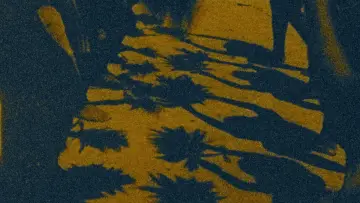 Zasłona do filmu "La memoria de las mariposas" #834459