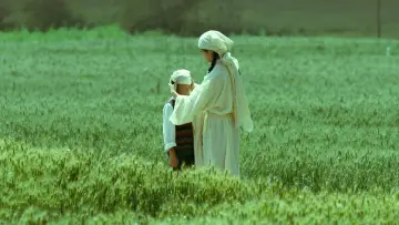 Zasłona do filmu "生息之地" #538864