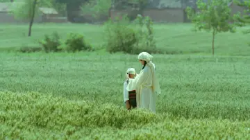 Zasłona do filmu "生息之地" #538865