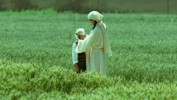 Zasłona do filmu "生息之地" #538867