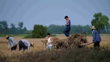 Zasłona do filmu "生息之地" #538869