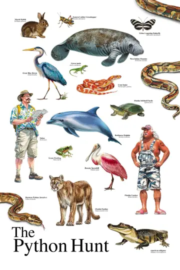 Plakat do filmu "The Python Hunt" #913090